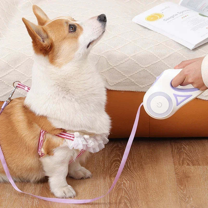LED Retractable Dog Leash