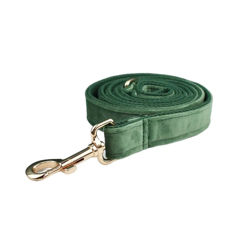 Forest Green Custom Engraved Velvet Dog Collar & Leash Set