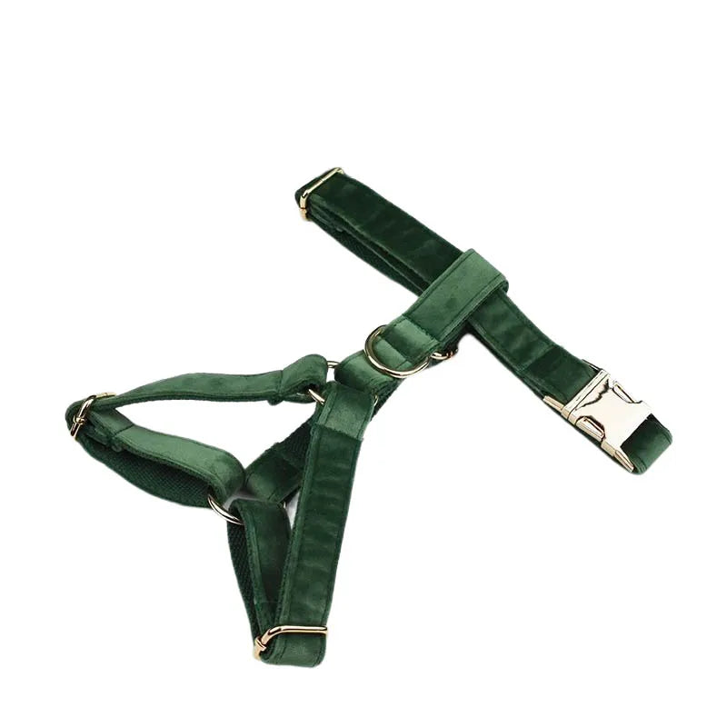 Forest Green Custom Engraved Velvet Dog Collar & Leash Set