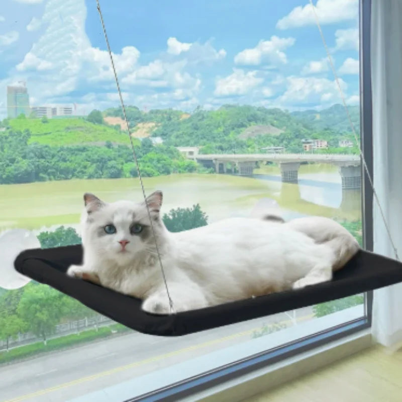 Cat Window Hammock & Climbing Frame