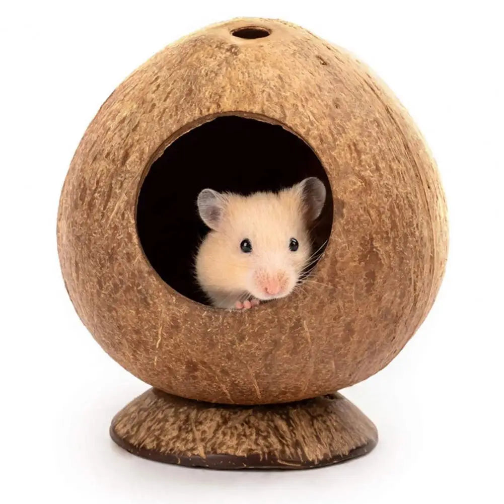 Coconut Shell Hamster Hideout House
