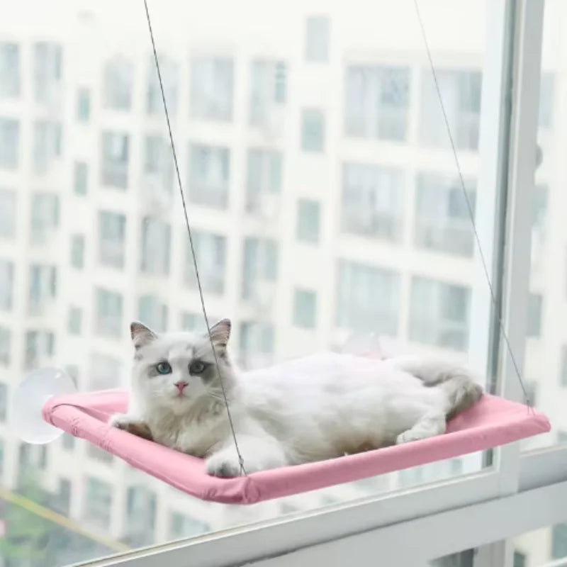 Cat Window Hammock & Climbing Frame