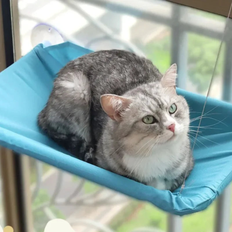 Cat Window Hammock & Climbing Frame
