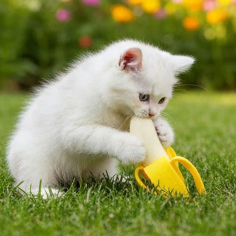 Banana Chew Toy for Dogs & Cats