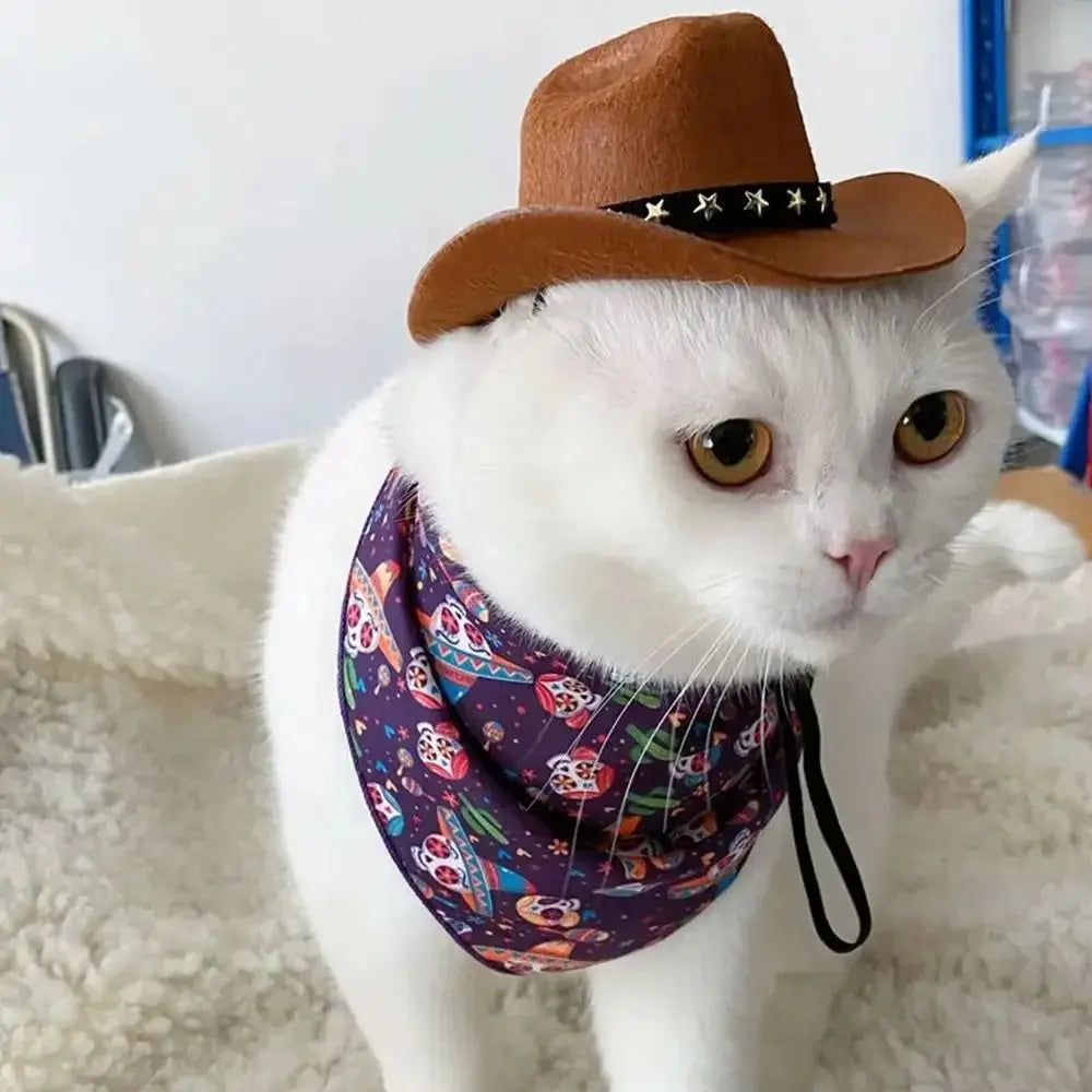 Cowboy Hat for Dogs & Cats