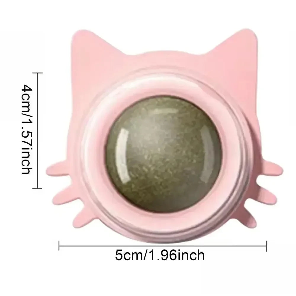 Catnip Wall Scratcher & Toy