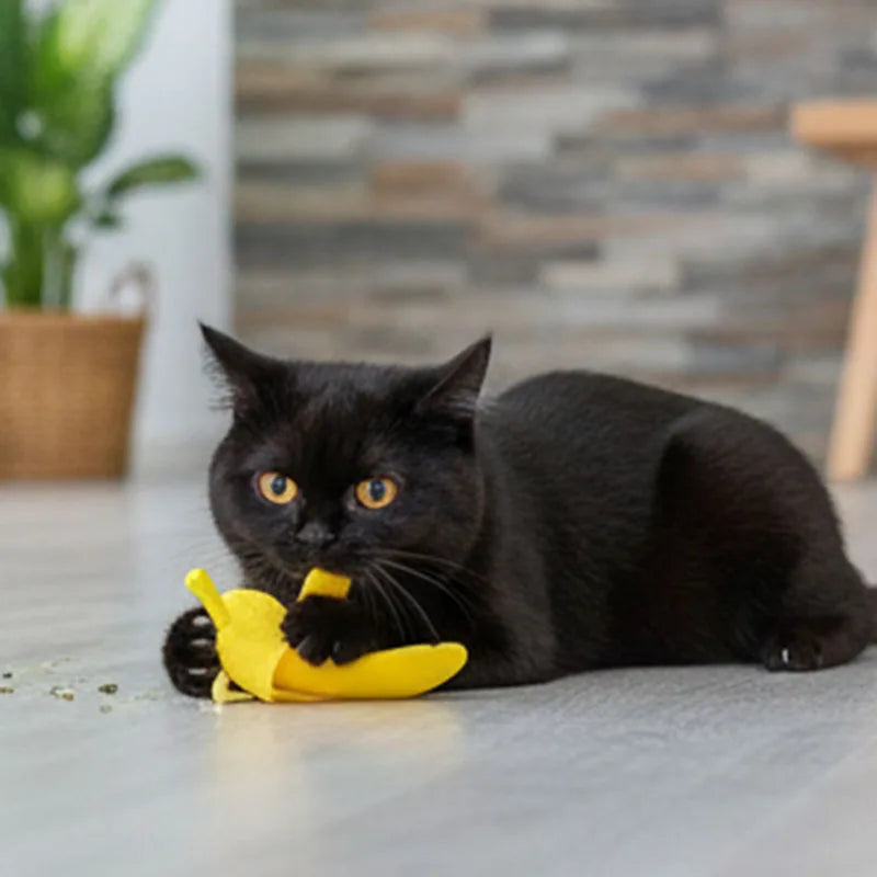 Banana Chew Toy for Dogs & Cats