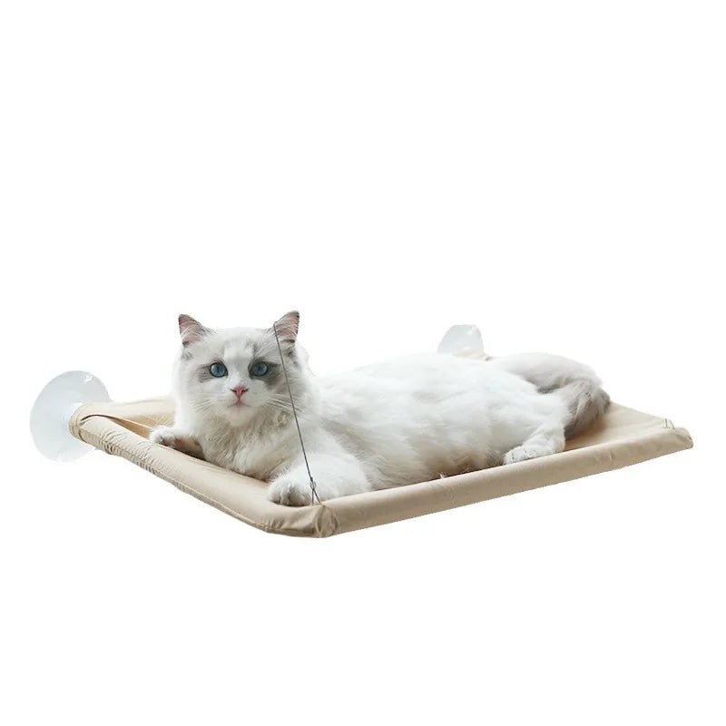 Cat Window Hammock & Climbing Frame