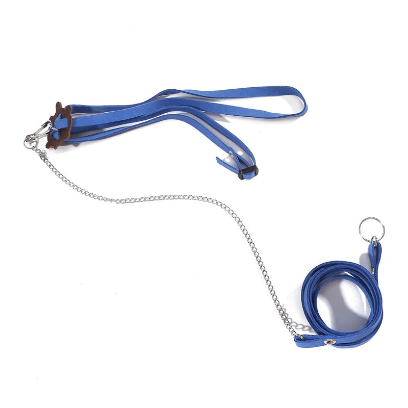 Small Pet Outdoor Traction Rope & Leash