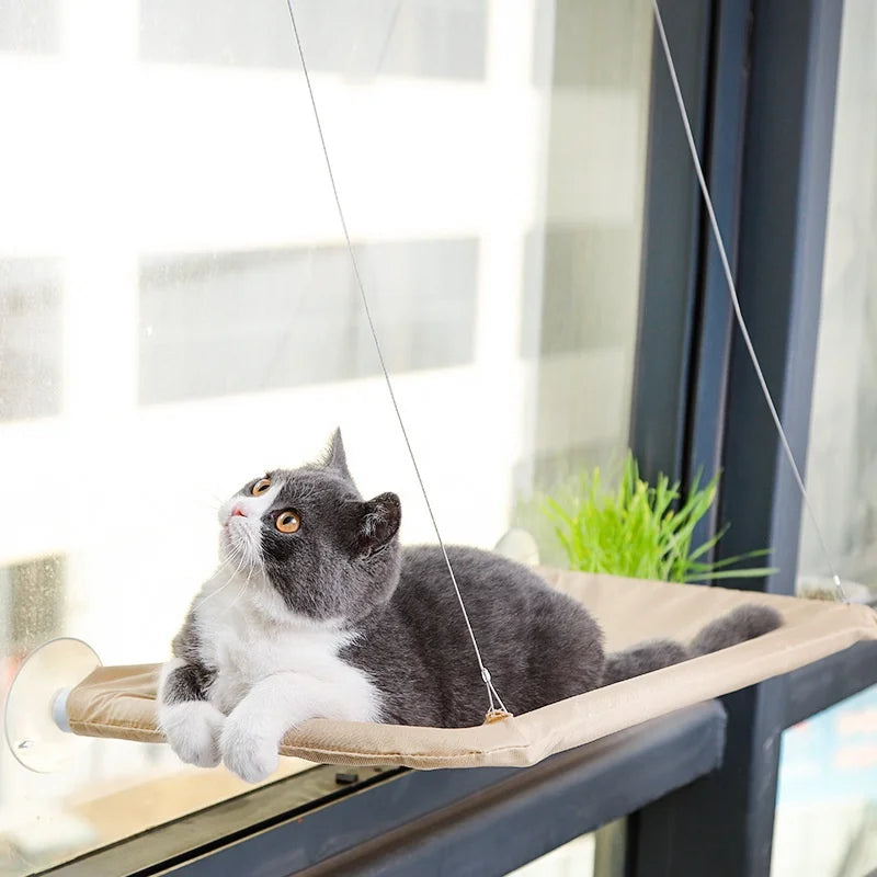 Cat Window Hammock & Climbing Frame