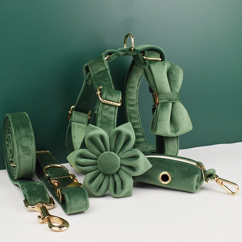 Forest Green Custom Engraved Velvet Dog Collar & Leash Set