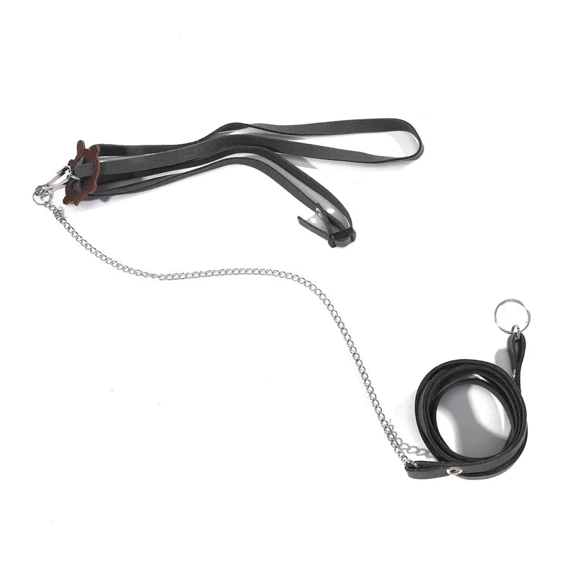 Small Pet Outdoor Traction Rope & Leash