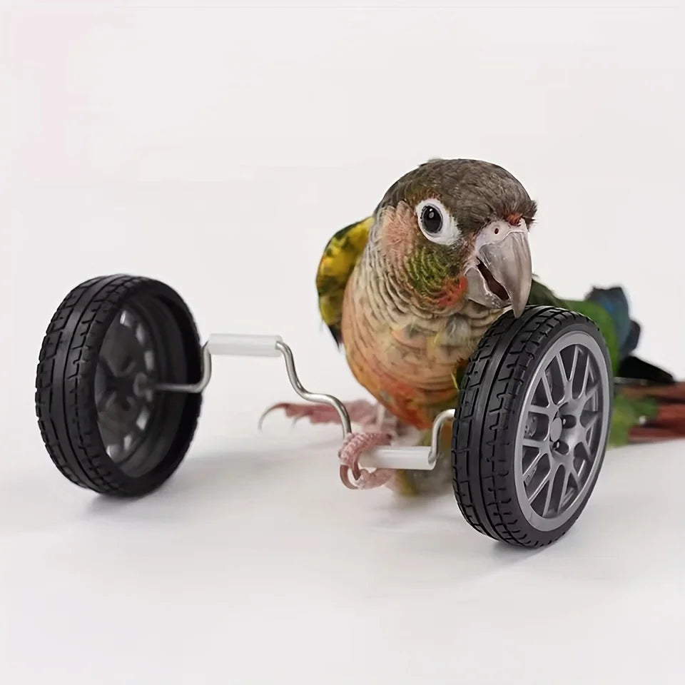 Mini Bicycle Balance Toy for Birds