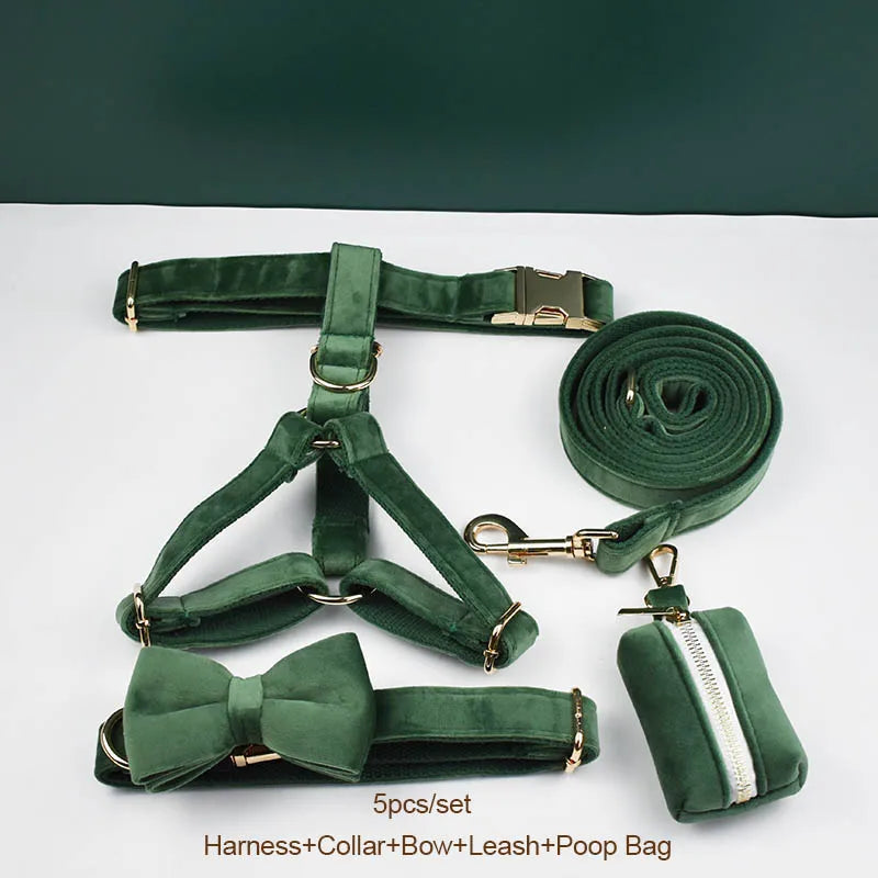 Forest Green Custom Engraved Velvet Dog Collar & Leash Set