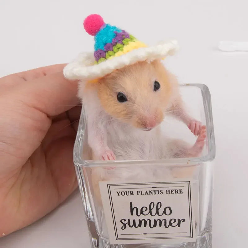 Knitted Hat for Hamsters & Small Pets