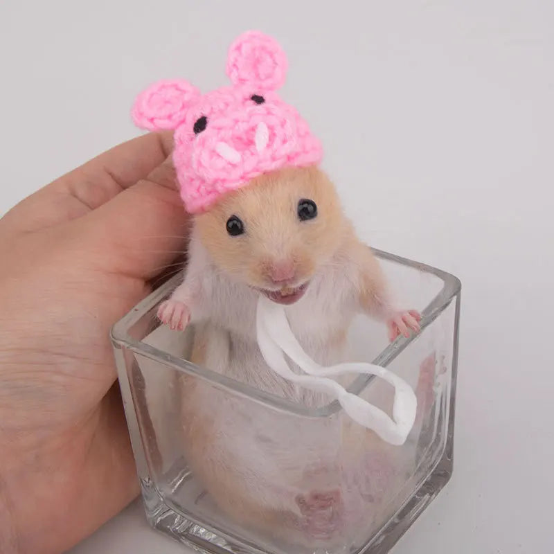 Knitted Hat for Hamsters & Small Pets