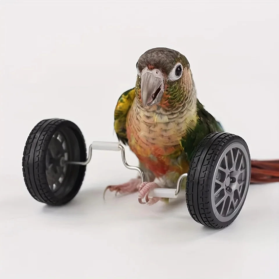 Mini Bicycle Balance Toy for Birds