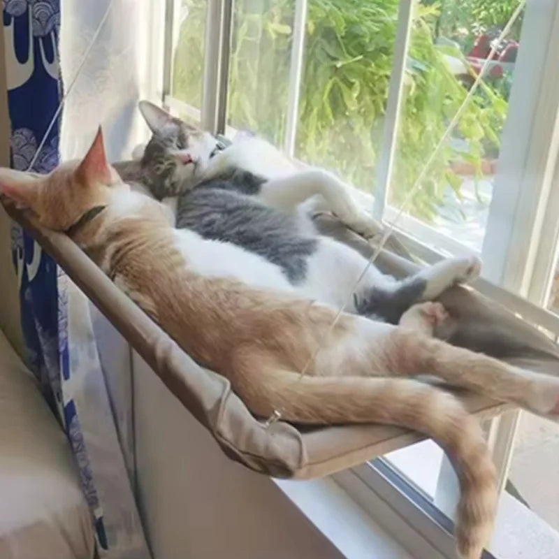 Cat Window Hammock & Climbing Frame