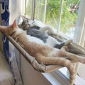 Cat Window Hammock & Climbing Frame