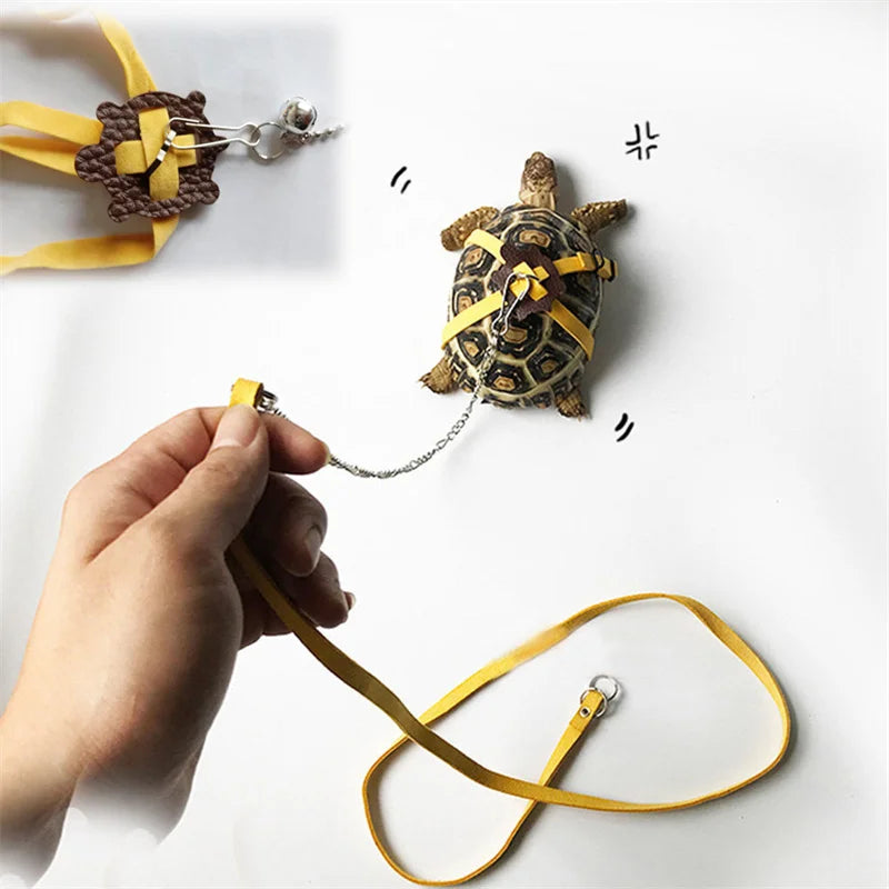 Small Pet Outdoor Traction Rope & Leash