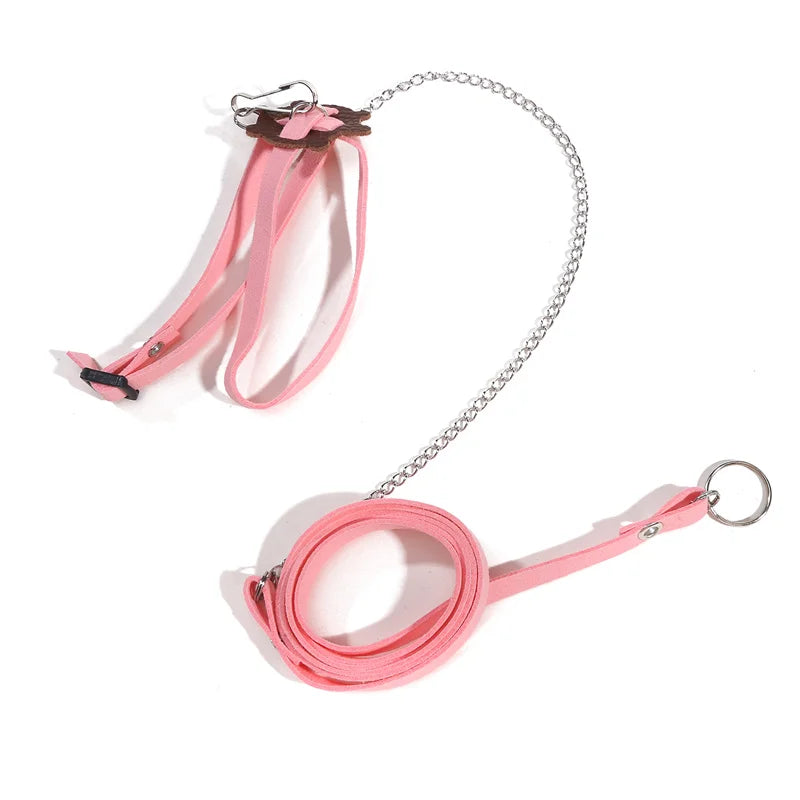 Small Pet Outdoor Traction Rope & Leash