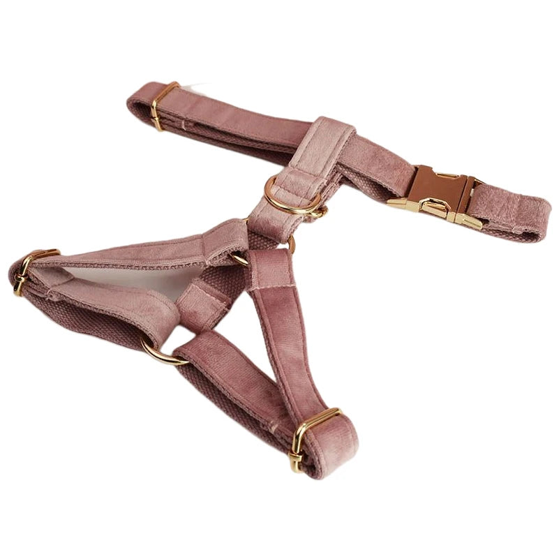Light Purple Custom Engraved Velvet Dog Collar & Leash Set