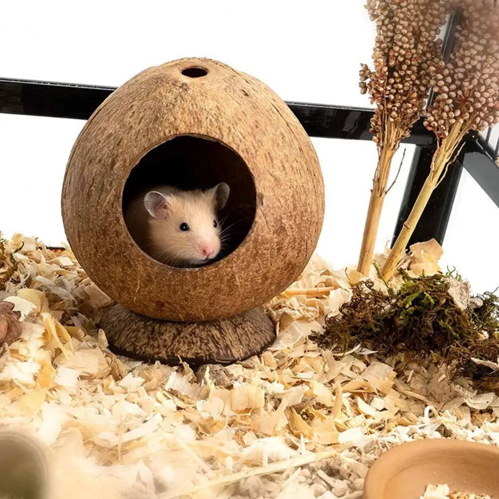 Coconut Shell Hamster Hideout House