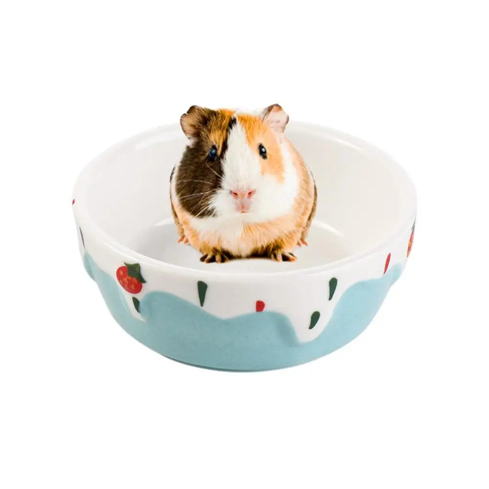 Ceramic Small Pet Food & Water Bowl