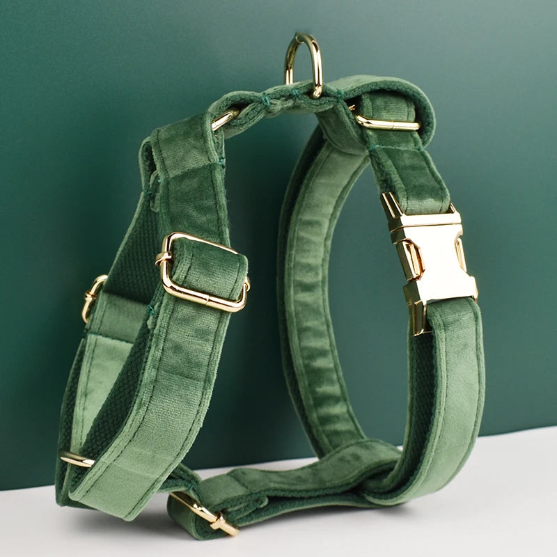 Forest Green Custom Engraved Velvet Dog Collar & Leash Set