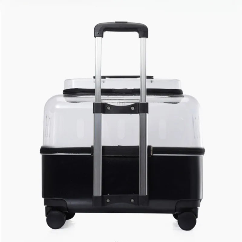Transparent Travel Pet Carrier Bag