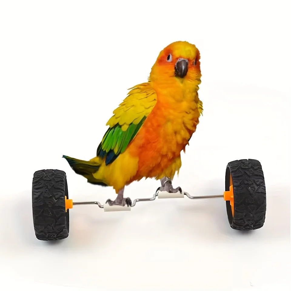 Mini Bicycle Balance Toy for Birds