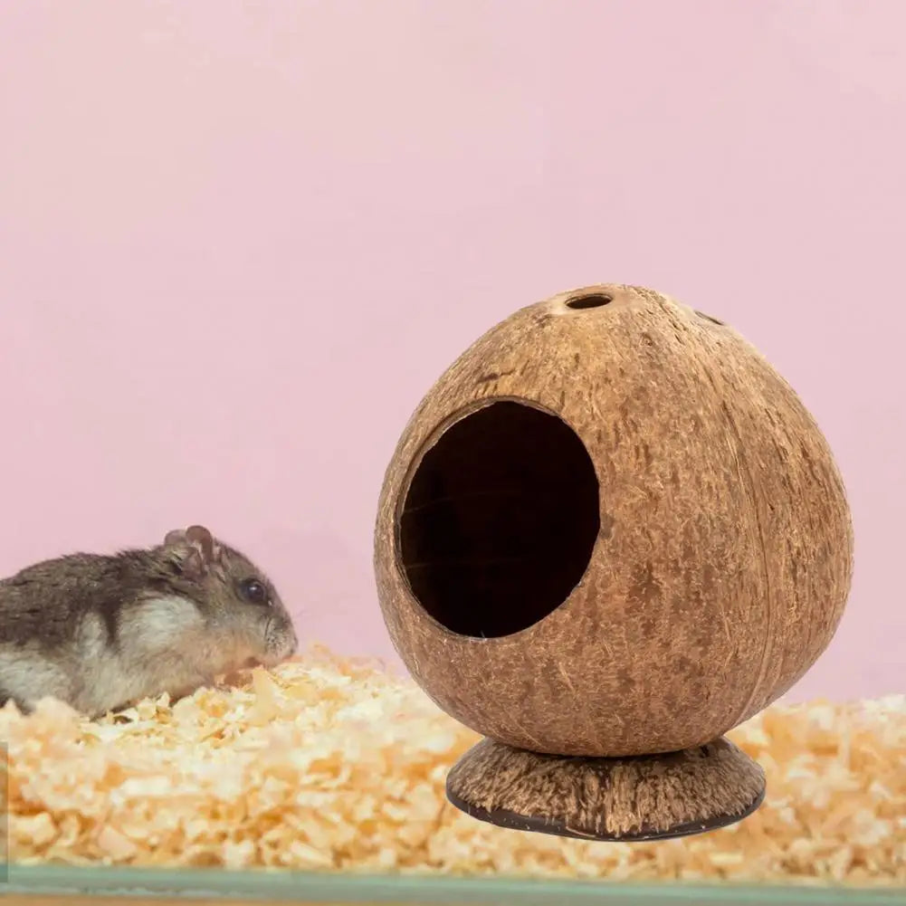 Coconut Shell Hamster Hideout House