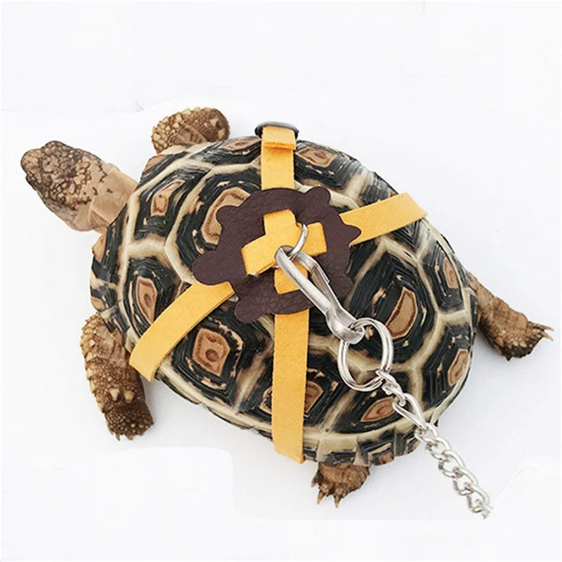 Small Pet Outdoor Traction Rope & Leash