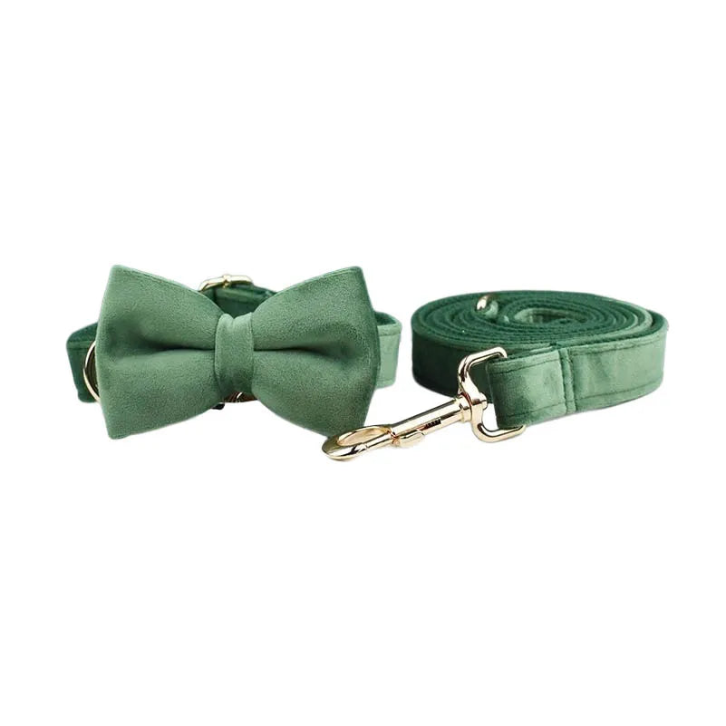Forest Green Custom Engraved Velvet Dog Collar & Leash Set
