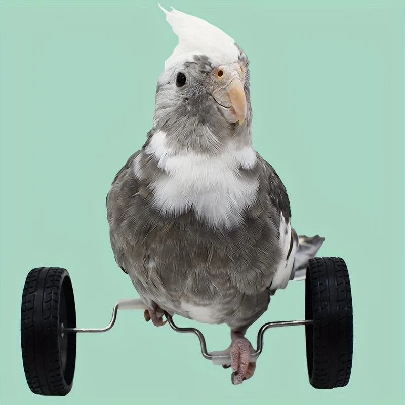 Mini Bicycle Balance Toy for Birds