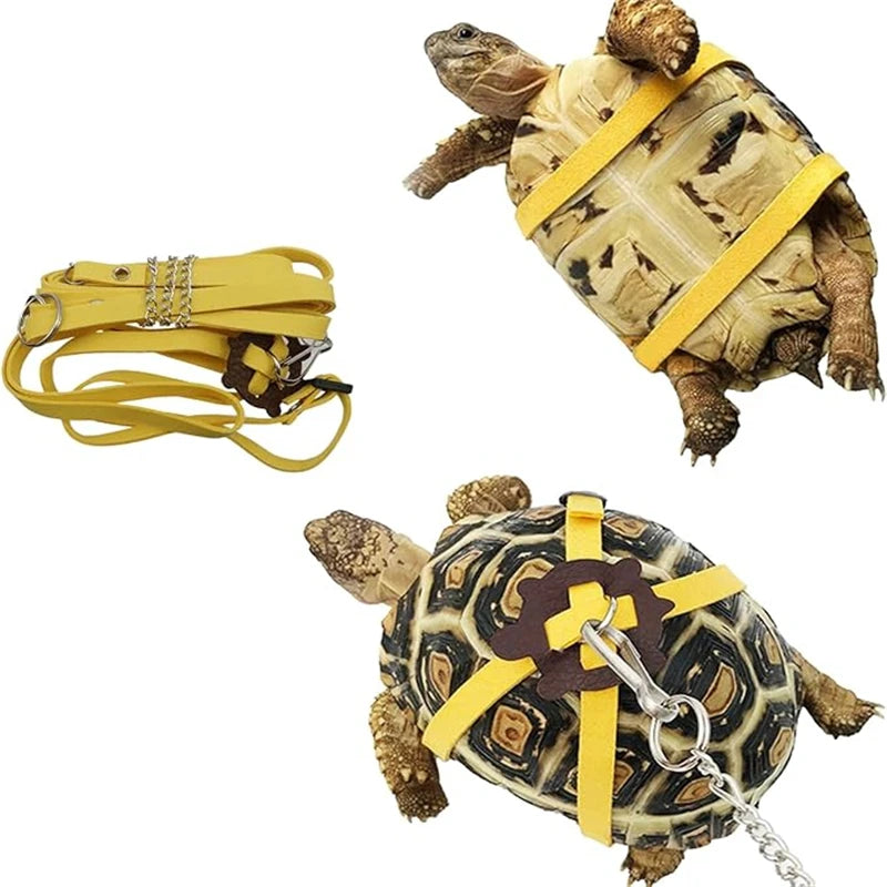 Small Pet Outdoor Traction Rope & Leash