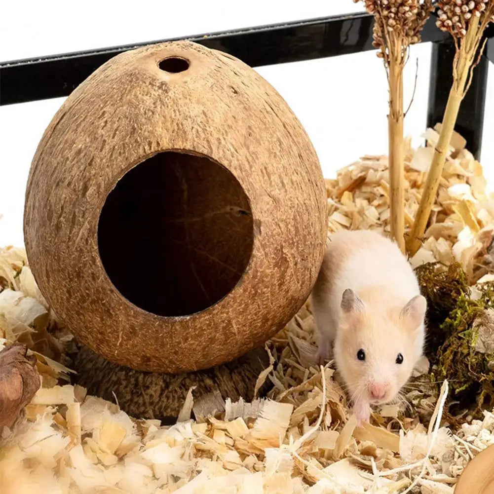 Coconut Shell Hamster Hideout House