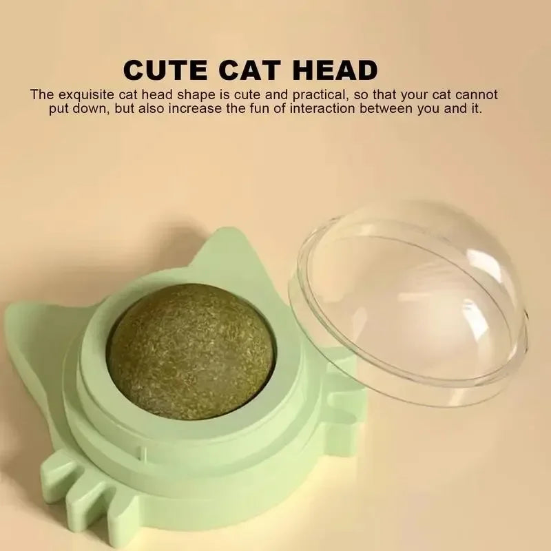 Catnip Wall Scratcher & Toy