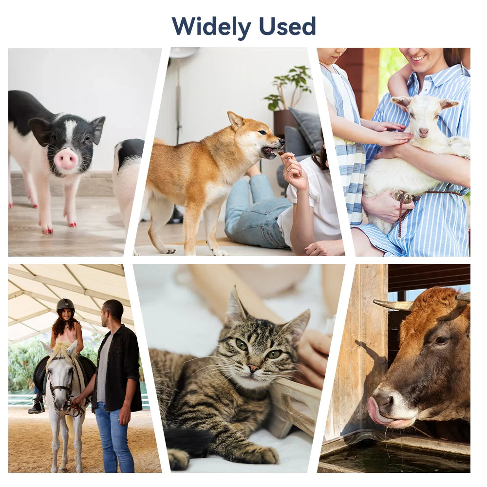 Infrared Pet Thermometer