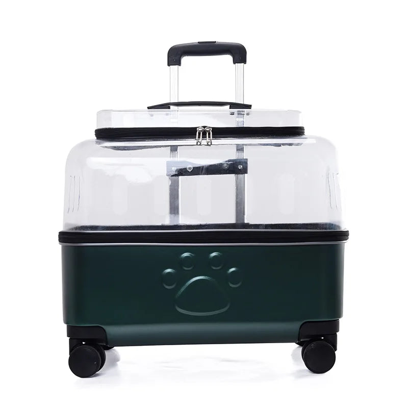Transparent Travel Pet Carrier Bag