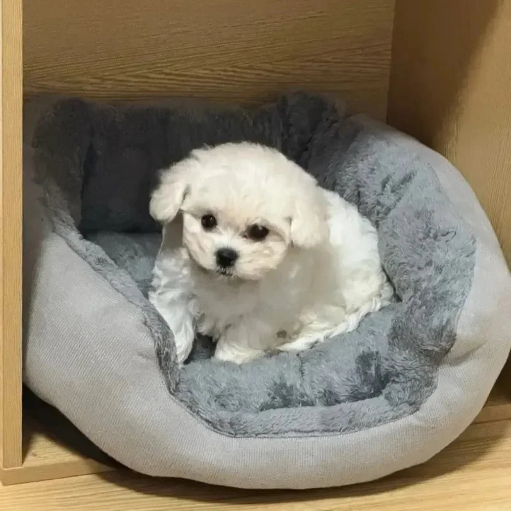 Soft Warm Dog & Cat Bed