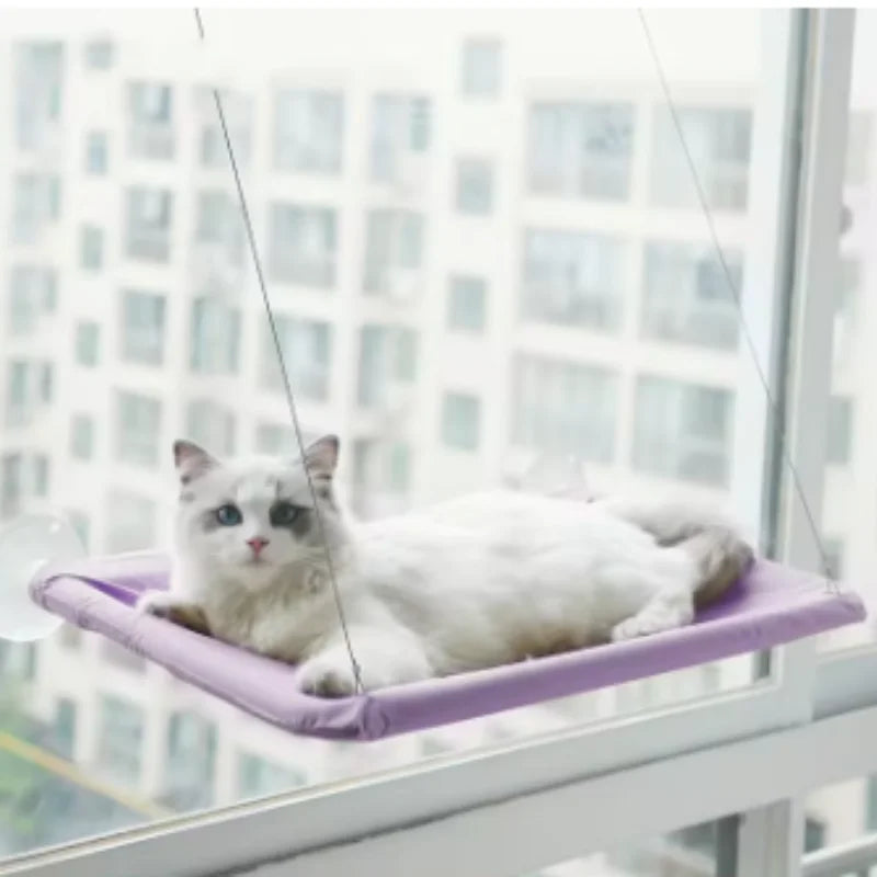 Cat Window Hammock & Climbing Frame