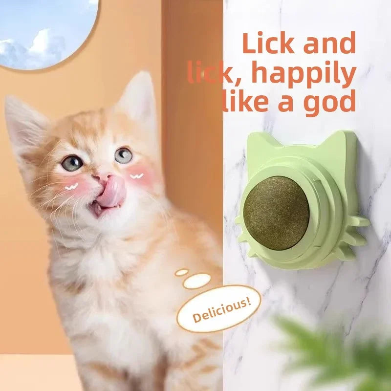 Catnip Wall Scratcher & Toy