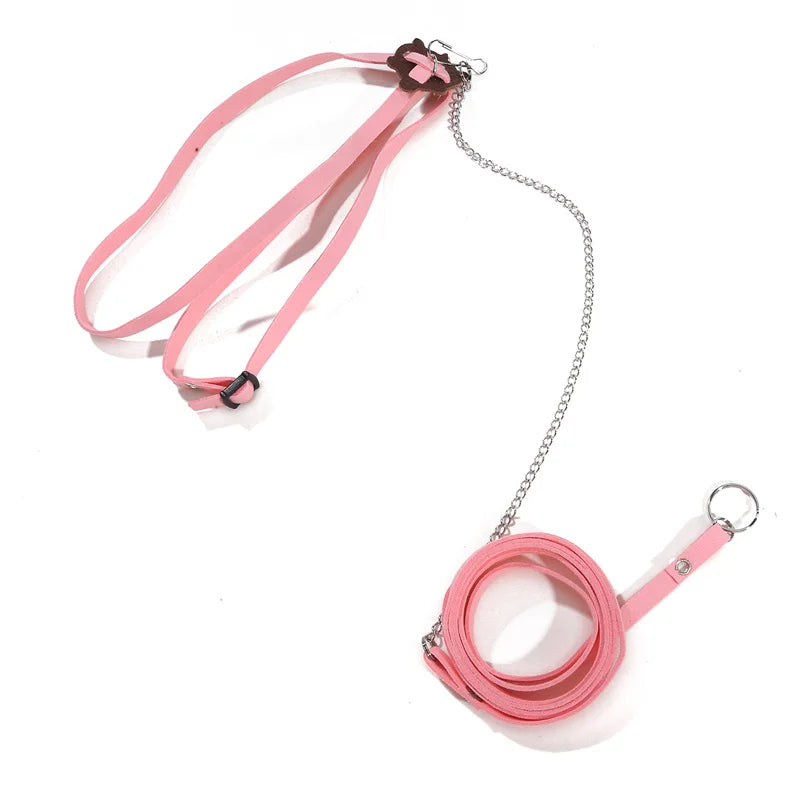 Small Pet Outdoor Traction Rope & Leash