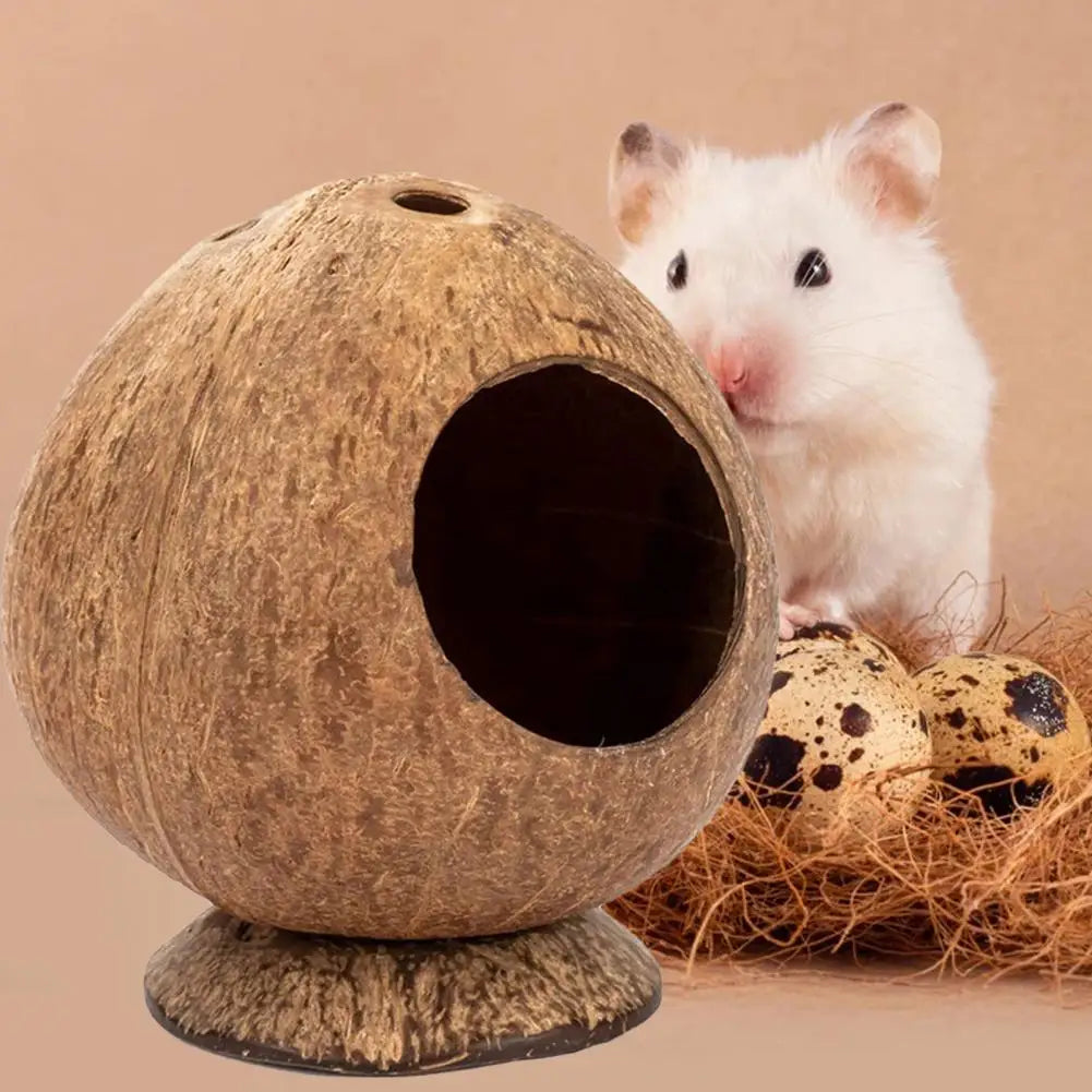 Coconut Shell Hamster Hideout House