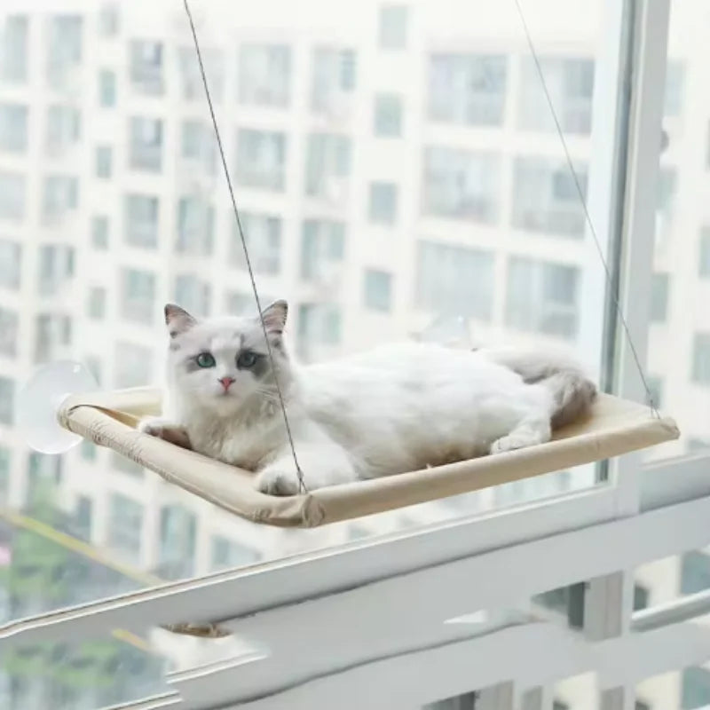 Cat Window Hammock & Climbing Frame