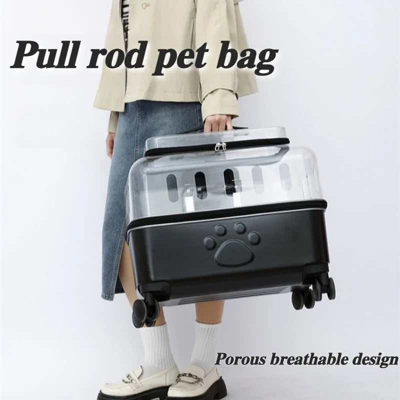 Transparent Travel Pet Carrier Bag