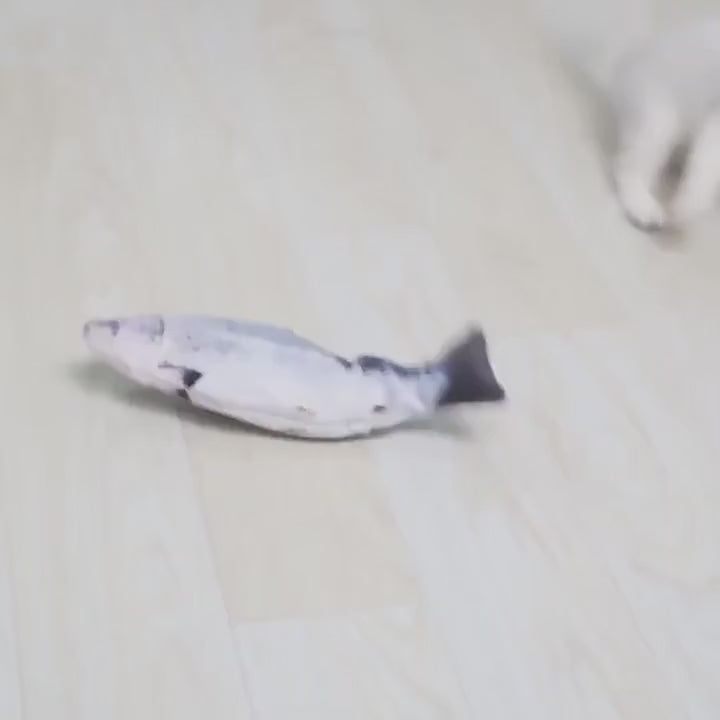 Floppy Fish Cat Toy